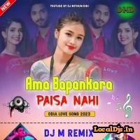 Ama Bapankara Paisa Nahi (Odia Love Song) Dj M Remix