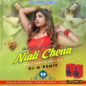Dekha Narama Narama Niali Chena (Odia Item Song Dance Mix) Dj M Remix