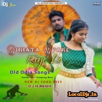 Chhata Upare Kiye Lo (Odia Item Song Dance Blast Mix) Dj M Remix
